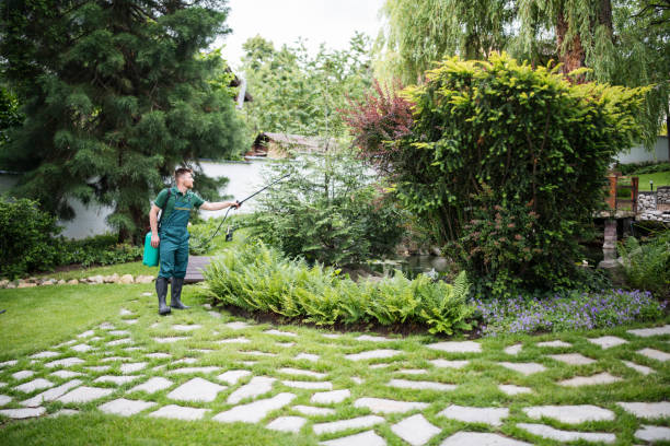 Best Best Pest Control Companies  in Tano Road, NM