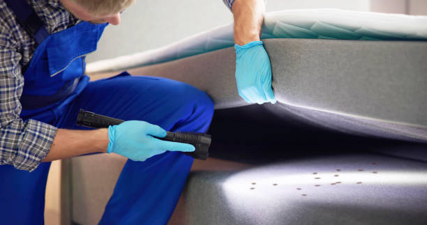 Best Best Pest Control Companies  in Tano Road, NM