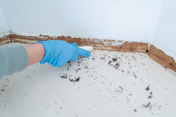 Best Commercial Pest Control Services  in Tano Road, NM