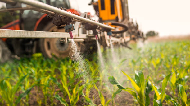 Best Mosquito Control Services  in Tano Road, NM